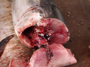 Ortigia Syracuse 'daki küçük ton balığı taze deniz ürünleri tarihi balık pazarı İtalya' da.