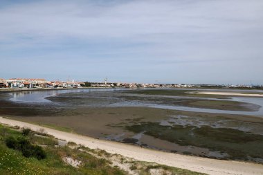 A Low tide in The lagoon Ria de Aveiro, with people picking up shell and crustaceans