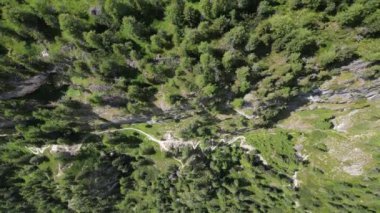 Orman ağacı, Kuzey İtalya 'da Güney Tyrol, Trentino' daki Dolomites Dağları 'nın havadan görünüşü, Marmolada Buzulu, Sassongher, Val Badia