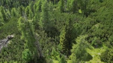 Orman ağacı, Kuzey İtalya 'da Güney Tyrol, Trentino' daki Dolomites Dağları 'nın havadan görünüşü, Marmolada Buzulu, Sassongher, Val Badia