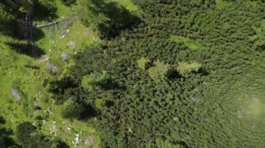 Orman ağacı, Kuzey İtalya 'da Güney Tyrol, Trentino' daki Dolomites Dağları 'nın havadan görünüşü, Marmolada Buzulu, Sassongher, Val Badia