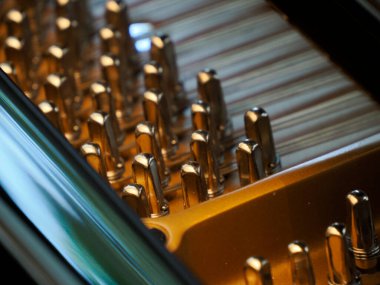 İçerideki akustik piyano tellerinin ayrıntıları...