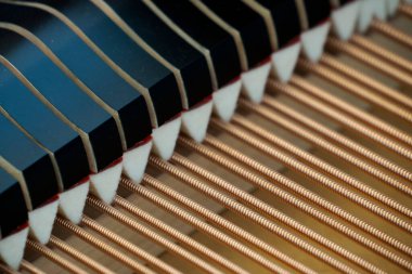 İçerideki akustik piyano tellerinin ayrıntıları...