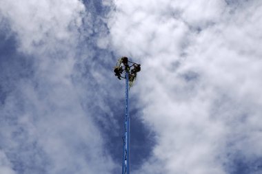 TULUM, MEXICO - 29 ECTOBER 2024 - Akrobatik İnsanlar Palo Volador, 