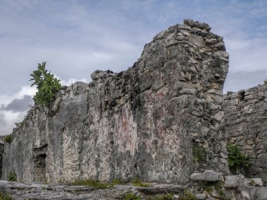 Tulum Maya tarihi arkeolojik sitesi Yucatan Meksika 'yı harap etti