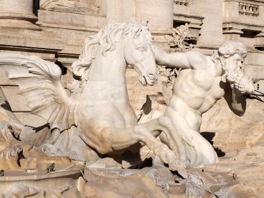 trevi Fountain restorasyon detayları altında