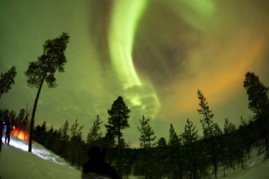 Wonderful Northern Lights in Lapland Inari Nelli Lakes forest clipart