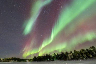 Wonderful Northern Lights in Lapland Inari Nelli Lakes forest clipart