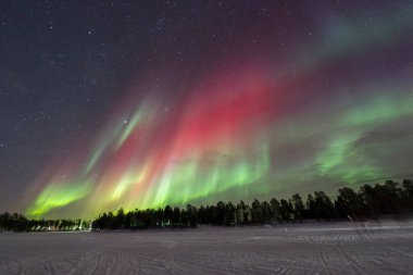 Wonderful Northern Lights in Lapland Inari Nelli Lakes forest clipart