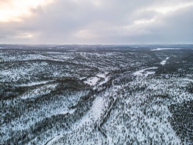 Buz lapland kış havası Inari Nellim donmuş göller ve orman manzarası manzarası