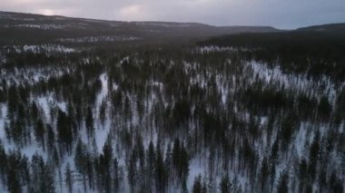 Buz lapland kış havası Inari Nellim donmuş göller ve orman manzarası manzarası