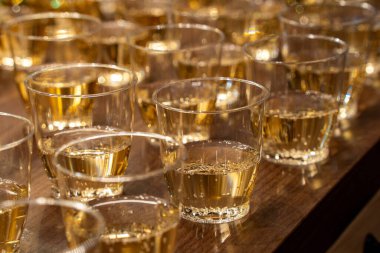 Kutlama için bir sürü şampanya plastik bardakları.