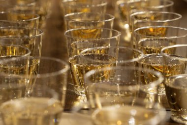 Kutlama için bir sürü şampanya plastik bardakları.