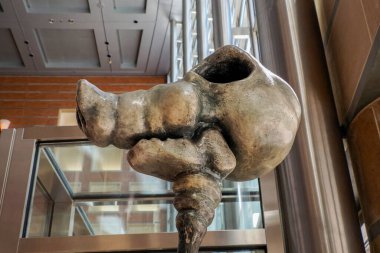 CINCINNATI, ABD - SEPTEMBER 5, 2024 - Big Pig Gig halk sanatları sergilerinden kalan domuz heykelleri 2000 yazında sergilenmekte olan yüzlerce domuz heykeli.