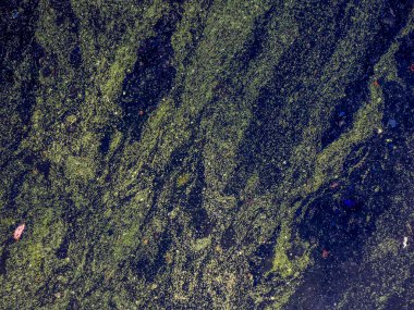 Cincinnati Finneytown Göleti Tarih Mezarlığı.