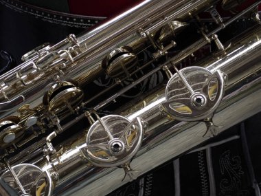 Geleneksel Tyrol bandı enstrüman detaylarını kapat