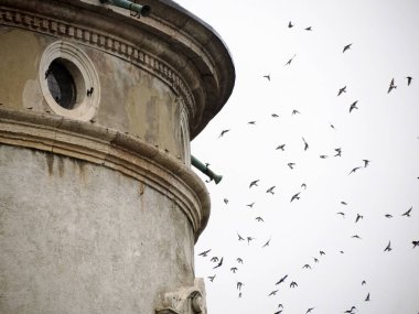 Yağmurlu bir günde Trento Kulesi 'ndeki buonconsiglio kalesinde uçan birçok kuş yutar.