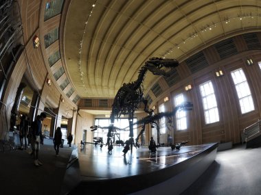 CINCINNATI, ABD - SEPTEMBER 6 2024 - Cincinnati tarihi tren istasyonu Art deco Museum iç görünümü Doğal Tarih ve Bilim Müzesi