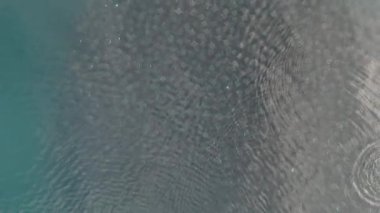 Büyük bir mobula munkiana sürüsü Cortez 'de deniz ensenada de los muertos baja california sur Mexico' da, İHA görüntüleri sıçrayıp dans ederken