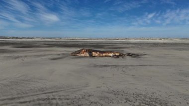 Baja California Sur sahilinde ölü bir balina. Bahia Magdalena 'nın kumsal insansız hava aracı görüntüleri.