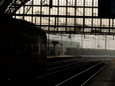 Amsterdam merkez tren istasyonu halkı izliyor
