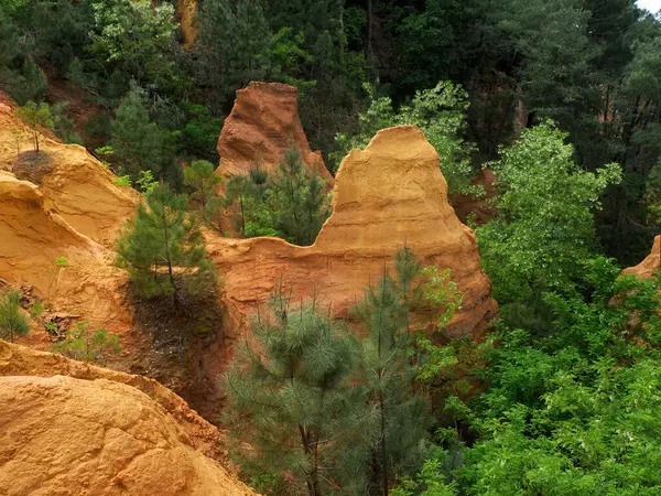 Provence France Rousillon bölgesindeki Ocher Kanyonu Vadisi 'nde.