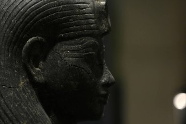 TURIN, İTALYA - 14 Mayıs 2025 - Mısır Müzesi dünyanın en önemli ikinci Mısır Koleksiyonu olarak kabul edilir..