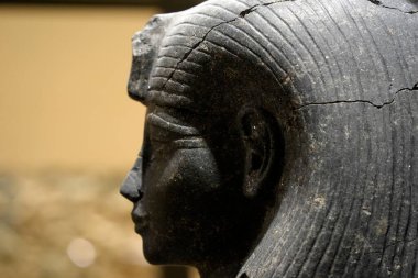 TURIN, İTALYA - 14 Mayıs 2025 - Mısır Müzesi dünyanın en önemli ikinci Mısır Koleksiyonu olarak kabul edilir..