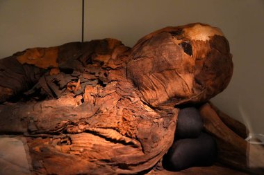 TÜRİN, İTALYA - 14 Mayıs 2025 - Mısır Müzesindeki annem dünyanın en önemli ikinci Mısır Koleksiyonu olarak kabul edilir..