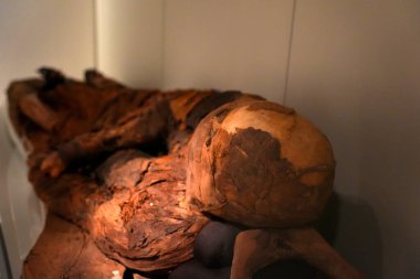 TÜRİN, İTALYA - 14 Mayıs 2025 - Mısır Müzesindeki annem dünyanın en önemli ikinci Mısır Koleksiyonu olarak kabul edilir..