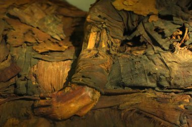 TÜRİN, İTALYA - 14 Mayıs 2025 - Mısır Müzesindeki annem dünyanın en önemli ikinci Mısır Koleksiyonu olarak kabul edilir..