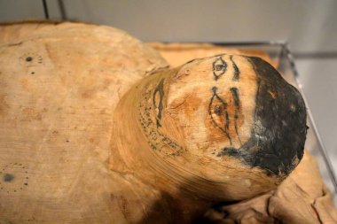 TURIN, İTALYA - 14 Mayıs 2025 - Mısır Müzesi 'ndeki boyanmış yüz mumyası dünyanın en önemli ikinci Mısır koleksiyonu olarak kabul edilir..