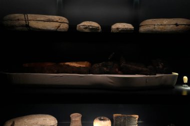 TURIN, İTALYA - 14 Mayıs 2025 - Mısır Müzesi dünyanın en önemli ikinci Mısır Koleksiyonu olarak kabul edilir..
