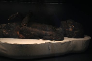 TURIN, İtalya - 14 Mayıs 2025 - Mısır müzesi dünyanın en önemli ikinci Mısır kolleksiyonu olarak kabul edilir. Anneciğim