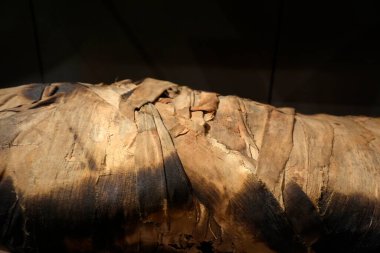 TURIN, İtalya - 14 Mayıs 2025 - Mısır müzesi dünyanın en önemli ikinci Mısır kolleksiyonu olarak kabul edilir. Anneciğim