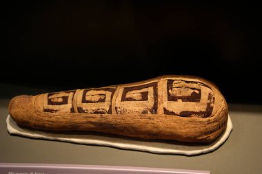 TURIN, İtalya - 14 Mayıs 2025 - Mısır müzesi dünyanın en önemli ikinci Mısır kolleksiyonu olarak kabul edilir. Bir Şahinin Annesi