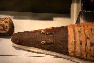 TURIN, İtalya - 14 Mayıs 2025 - Mısır müzesi dünyanın en önemli ikinci Mısır kolleksiyonu olarak kabul edilir. Timsah anası.