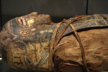 TURIN, İtalya - 14 Mayıs 2025 - Mısır müzesi dünyanın en önemli ikinci Mısır kolleksiyonu olarak kabul edilir. Anneciğim