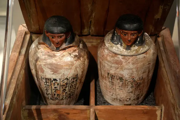 TURIN, İtalya - 14 Mayıs 2025 - Mısır müzesi dünyanın en önemli ikinci Mısır kolleksiyonu olarak kabul edilir. Kanopi Canopic vazosu