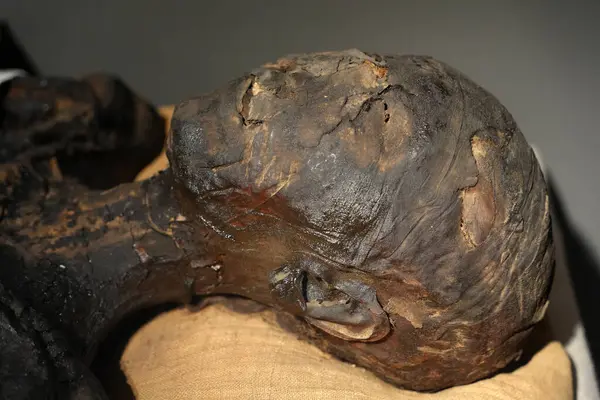 TURIN, İtalya - 14 Mayıs 2025 - Mısır müzesi dünyanın en önemli ikinci Mısır kolleksiyonu olarak kabul edilir. Anneciğim