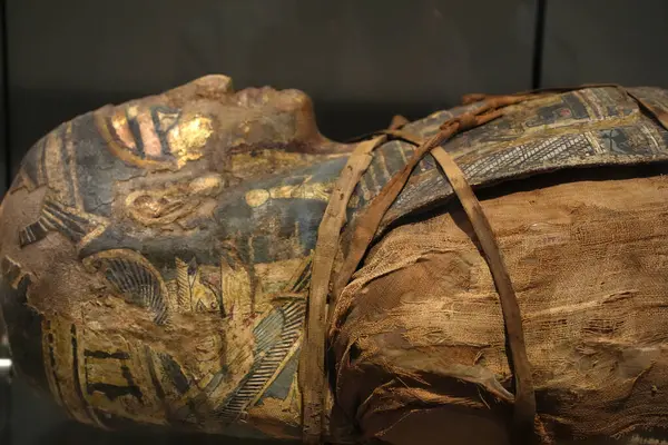 TURIN, İtalya - 14 Mayıs 2025 - Mısır müzesi dünyanın en önemli ikinci Mısır kolleksiyonu olarak kabul edilir. Anneciğim