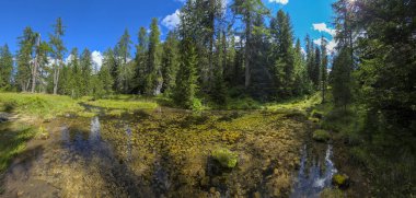 Dolomites dağlarındaki Longiaru yel değirmeni vadisi gölü yaz mevsiminde muazzam bir manzara.