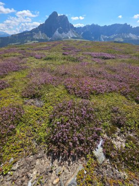 Monte Muro Maurerberg Dolomites dağları yaz mevsiminde muazzam manzara manzarası