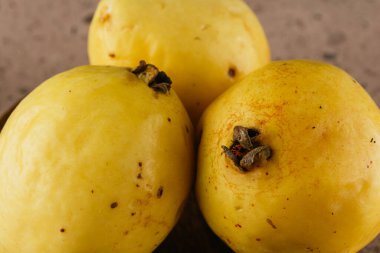 Meksika 'da kış mevsimi meyveleri, pembe bir taş ocağında ahşap bir tabakta dev guavalar..