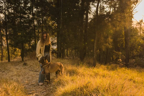 Fotografias Menina Momento Mágico Com Seu Cão Sol Pôr Sol — Fotografia de Stock