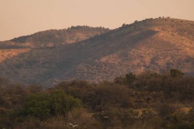 Gün batımında Sierra de Michoacan Dağları sıcak renklerle boyanacak..