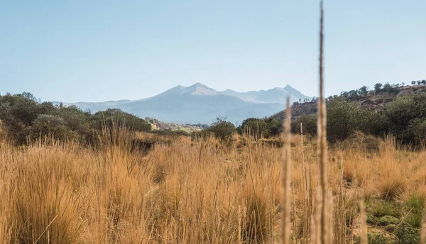 Bergslandskap Med Torra Och Bärnstensfärgade Gräsmarker Början Våren Nevado Tolucas — Stockfoto