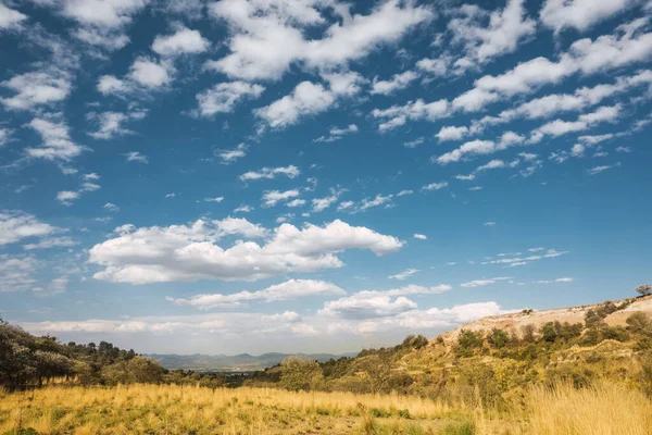 春の初めに乾燥した琥珀色の草原と山の風景 ネバダ トルカの海岸 — ストック写真