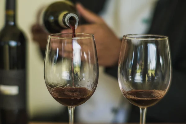 Kelner Serwujący Wino Kryształowych Kieliszkach Podczas Degustacji — Zdjęcie stockowe