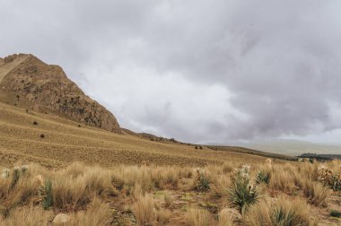 Nevado de Toluca, Meksika 'nın yüksek dağ manzarası, turkuaz gölleri, volkanik kaya zirveleri, bitki örtüsü ve birkaç ağacı..